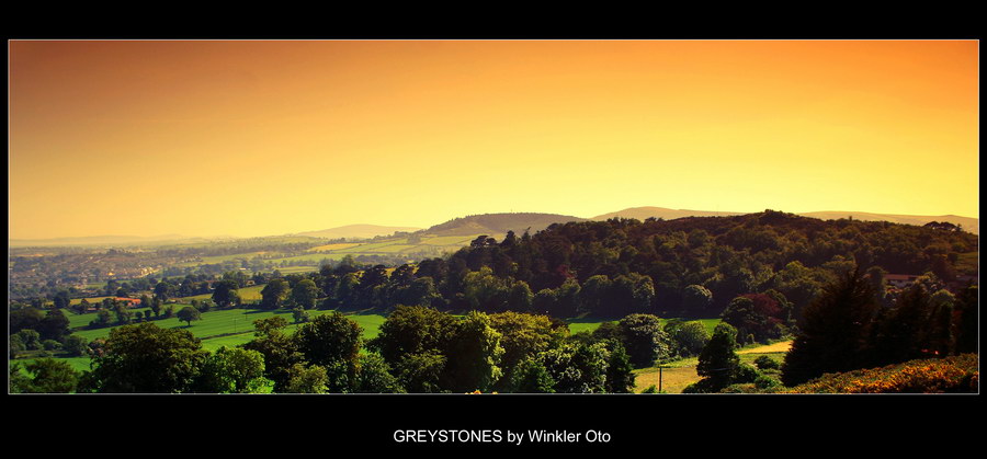Greystones2aw.jpg