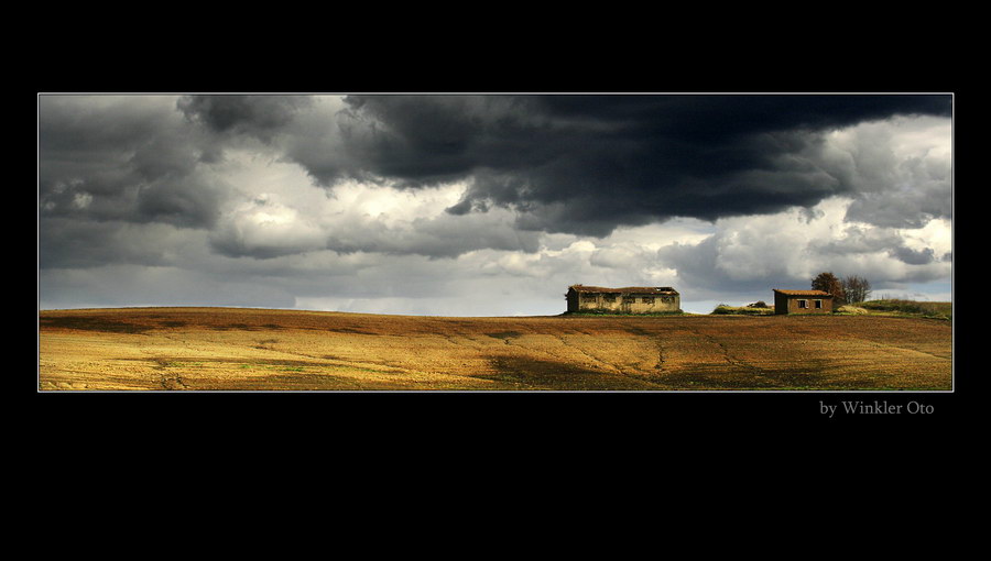 FIELD SCENERY ITALY 1c.jpg