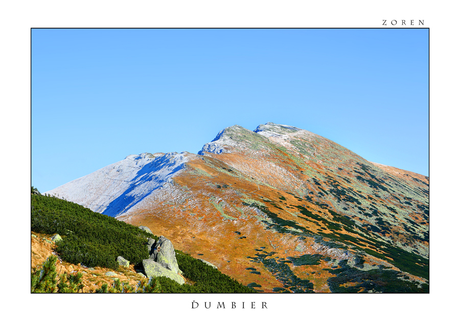 Dumbier-x1a.jpg
