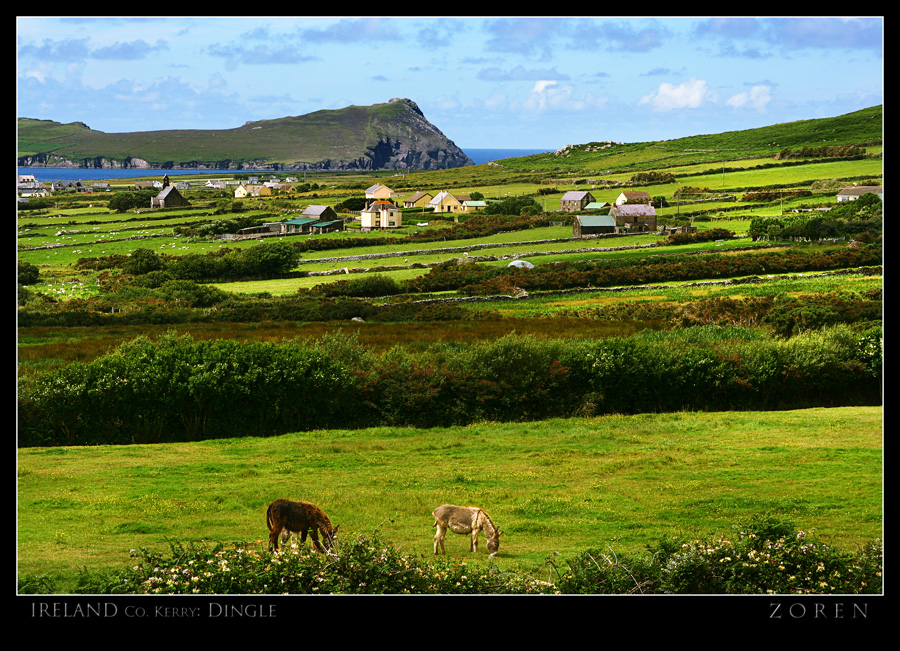 Dingle-x1A.jpg