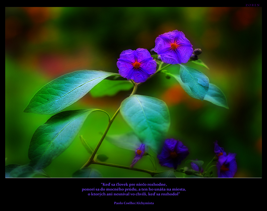 blue-touch.jpg