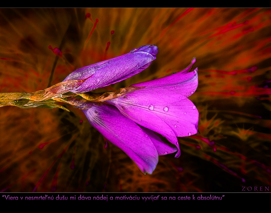 fLover-Power-x3g.jpg