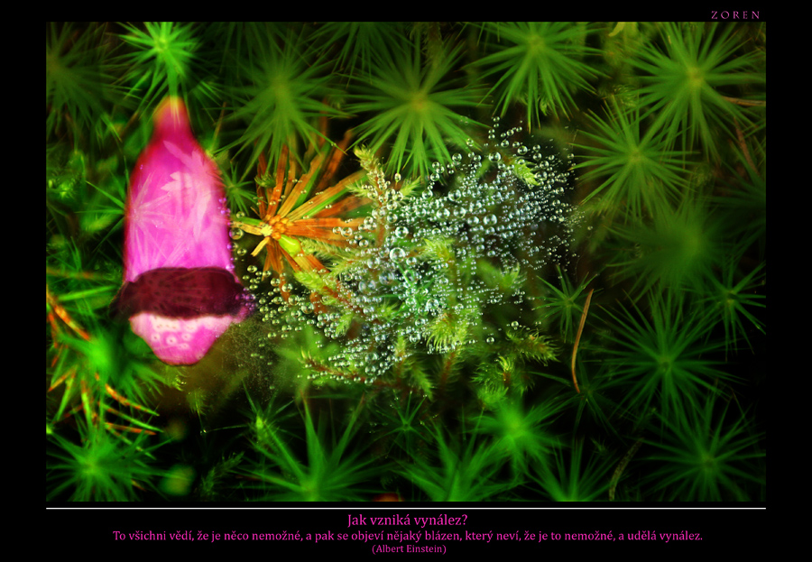 fLover-Power-x4b.jpg