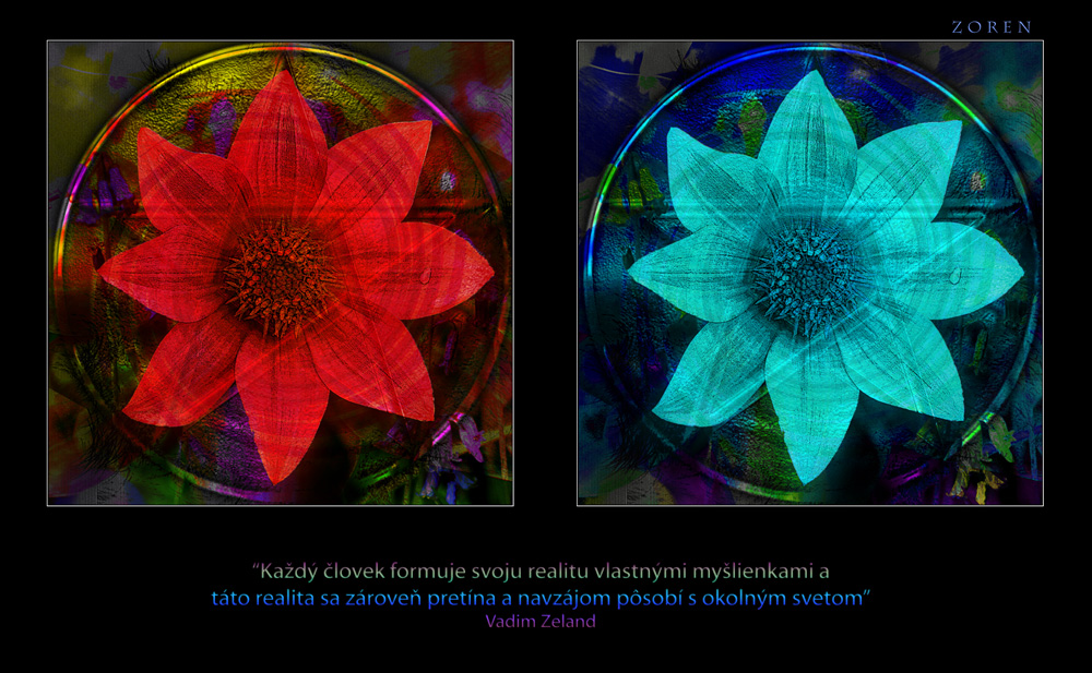 FLOWER-POWER-x3C-DOUBLE.jpg