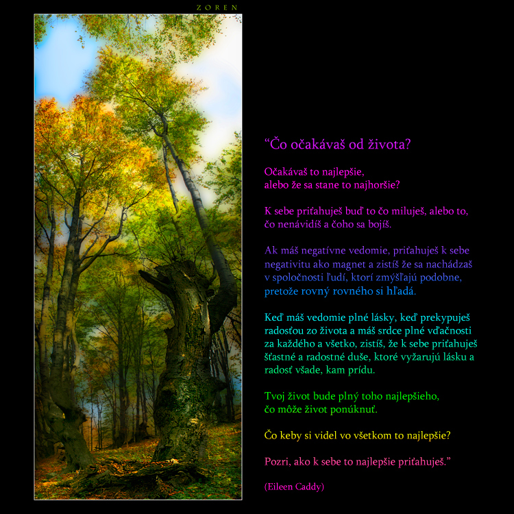 Tree-to-the-sky-x1d.jpg
