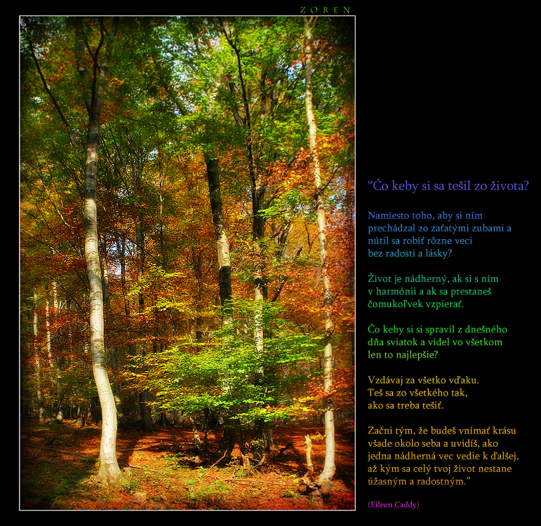 Tree-to-the-sky-x3a.jpg