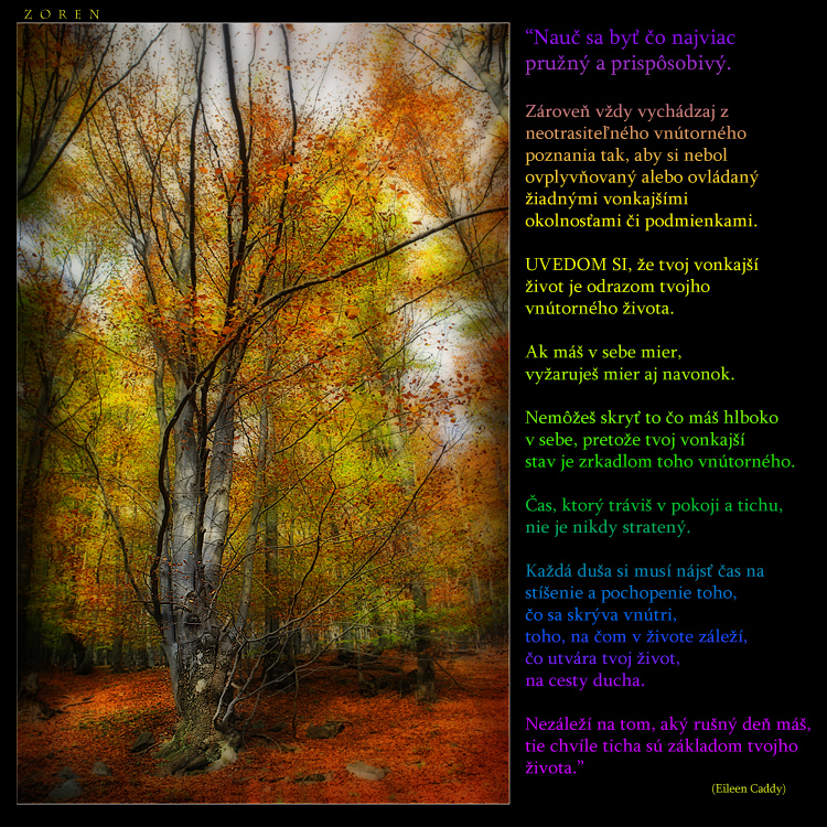 Tree-to-the-sky-x4b.jpg