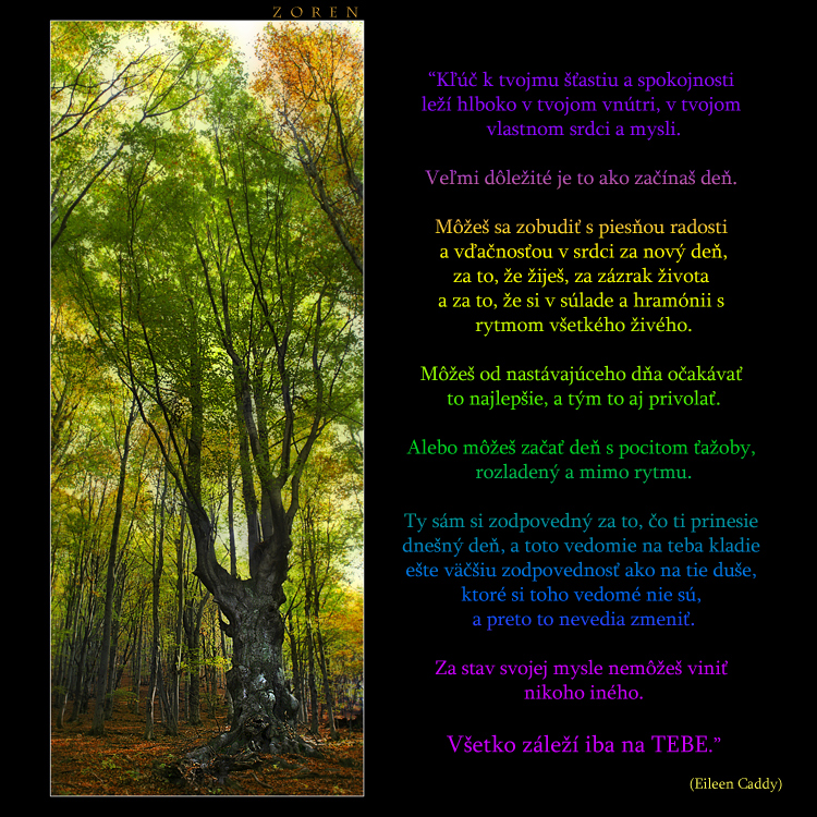 Tree-to-the-sky-x5b.jpg