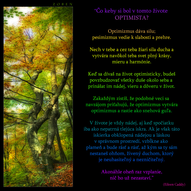 Tree-to-the-sky-x7a.jpg