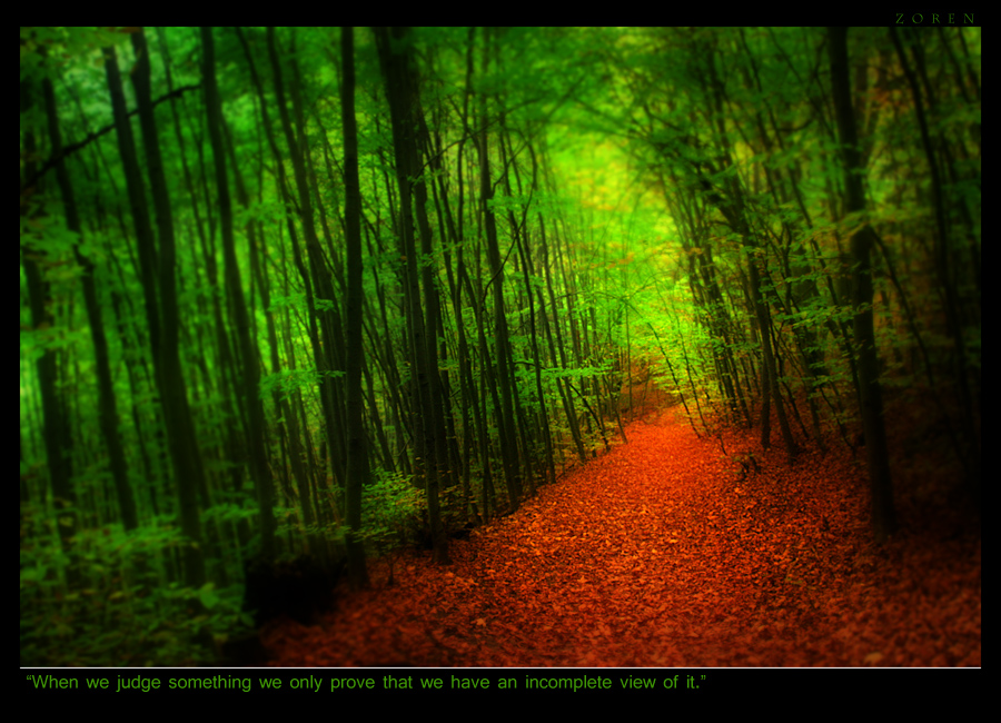 somewhere-in-forest-x1a.jpg