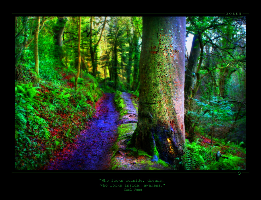 TreePower-xx1a.jpg