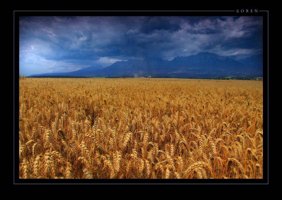 Vysoke-Tatry-a1a.jpg