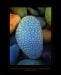 Textures-of-stones-Inischron-x2a.jpg